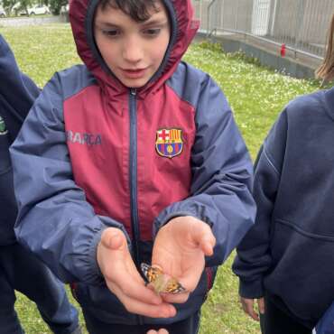 Our Butterflies 🐛🦋